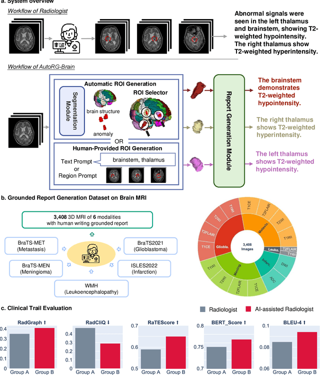 Figure 1 for AutoRG-Brain: Grounded Report Generation for Brain MRI
