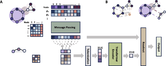 Figure 1 for Transformers are efficient hierarchical chemical graph learners