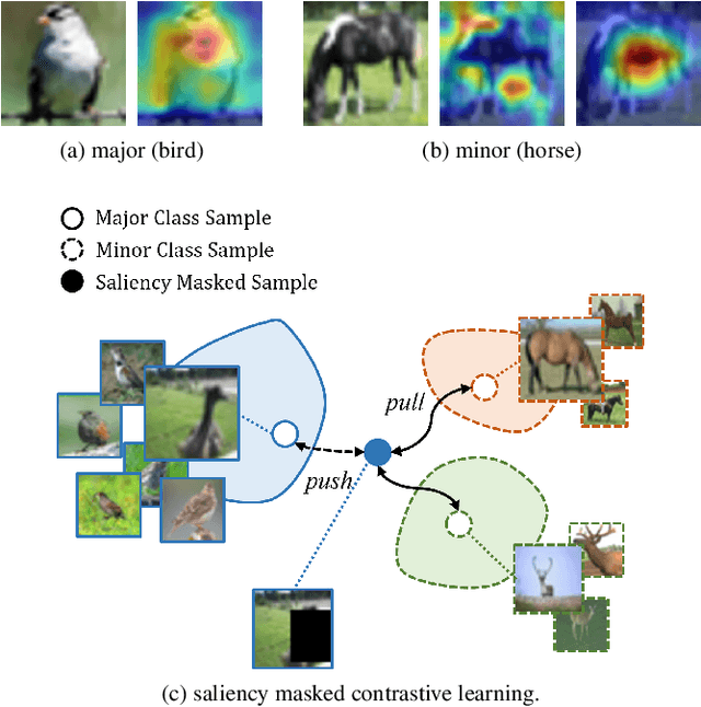 Figure 1 for SMCL: Saliency Masked Contrastive Learning for Long-tailed Recognition