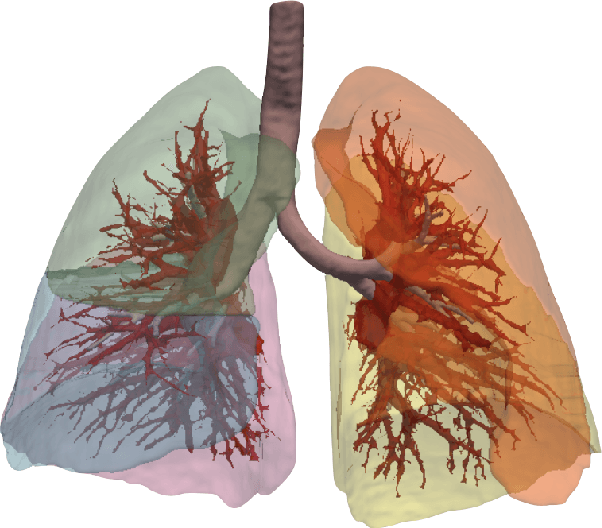Figure 1 for A Dataset of Anatomical Environments for Medical Robots: Modeling Respiratory Deformation