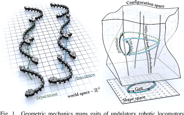 Figure 1 for A variational approach to geometric mechanics for undulating robotic locomotion
