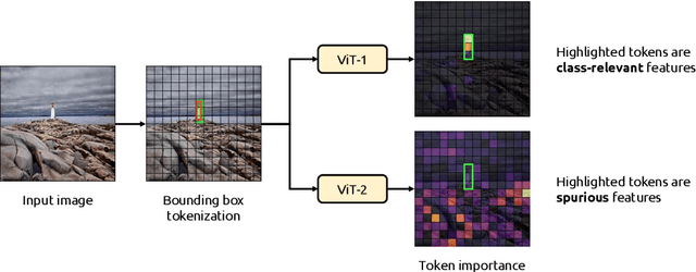 Figure 1 for Detecting Regional Spurious Correlations in Vision Transformers via Token Discarding