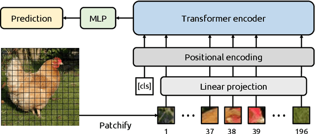 Figure 3 for Detecting Regional Spurious Correlations in Vision Transformers via Token Discarding