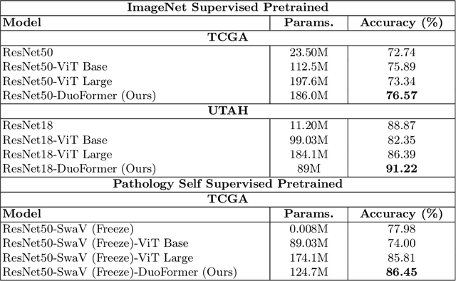 Figure 2 for DuoFormer: Leveraging Hierarchical Visual Representations by Local and Global Attention