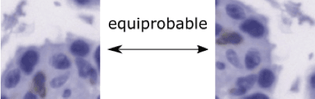 Figure 1 for Sample Complexity of Probability Divergences under Group Symmetry