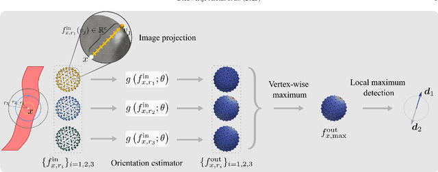 Figure 1 for SIRE: scale-invariant, rotation-equivariant estimation of artery orientations using graph neural networks