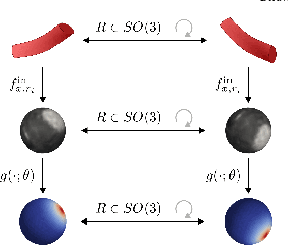 Figure 2 for SIRE: scale-invariant, rotation-equivariant estimation of artery orientations using graph neural networks