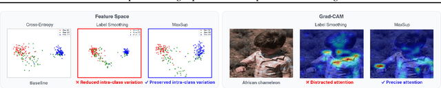Figure 1 for MaxSup: Overcoming Representation Collapse in Label Smoothing