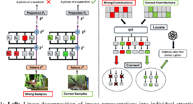 Figure 1 for Debiasing CLIP: Interpreting and Correcting Bias in Attention Heads