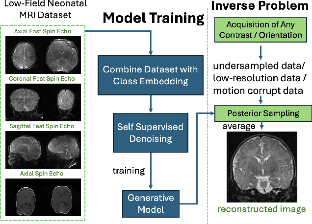 Figure 1 for Accelerated, Robust Lower-Field Neonatal MRI with Generative Models