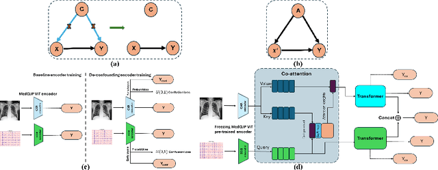 Figure 1 for MOSCARD -- Causal Reasoning and De-confounding for Multimodal Opportunistic Screening of Cardiovascular Adverse Events