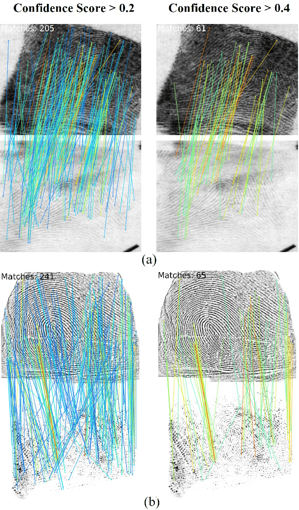 Figure 1 for IFViT: Interpretable Fixed-Length Representation for Fingerprint Matching via Vision Transformer