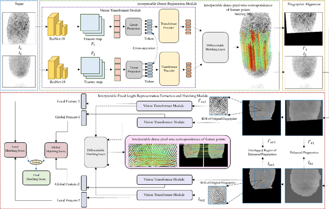 Figure 3 for IFViT: Interpretable Fixed-Length Representation for Fingerprint Matching via Vision Transformer