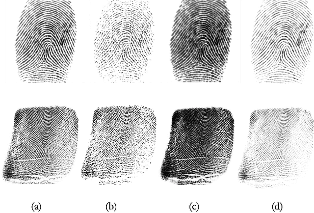 Figure 4 for IFViT: Interpretable Fixed-Length Representation for Fingerprint Matching via Vision Transformer