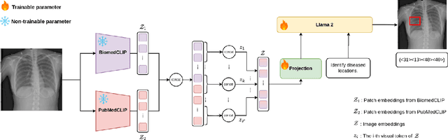 Figure 1 for LiteGPT: Large Vision-Language Model for Joint Chest X-ray Localization and Classification Task
