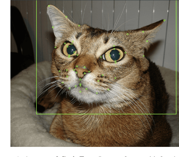 Figure 2 for CatFLW: Cat Facial Landmarks in the Wild Dataset