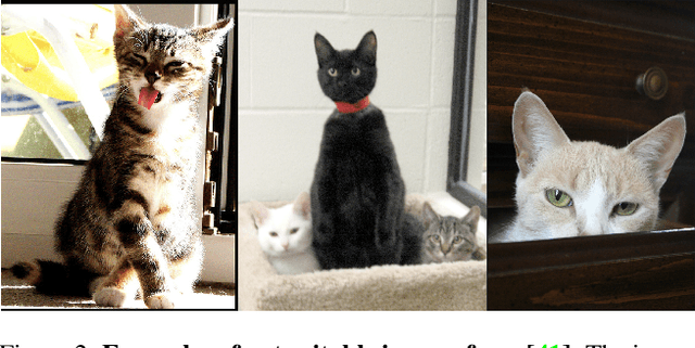 Figure 3 for CatFLW: Cat Facial Landmarks in the Wild Dataset