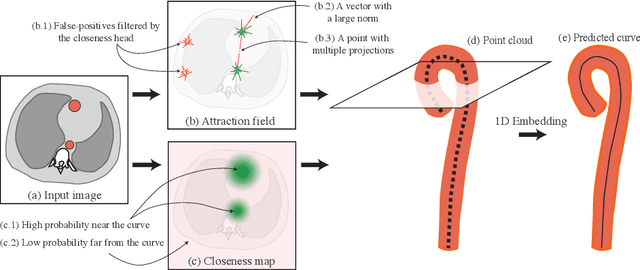 Figure 1 for Robust Curve Detection in Volumetric Medical Imaging via Attraction Field