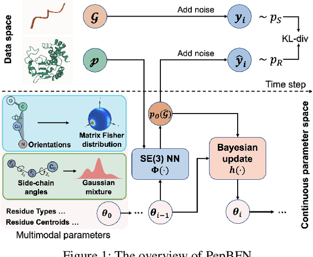 Figure 1 for Full-Atom Peptide Design via Riemannian-Euclidean Bayesian Flow Networks