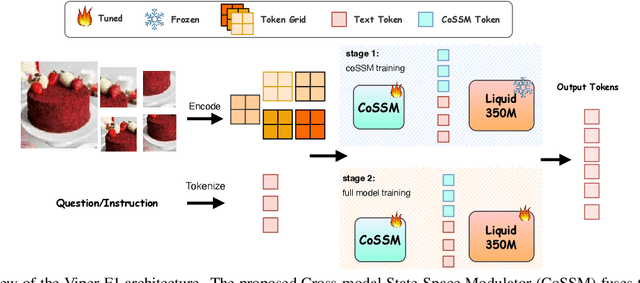 Figure 1 for Viper-F1: Fast and Fine-Grained Multimodal Understanding with Cross-Modal State-Space Modulation