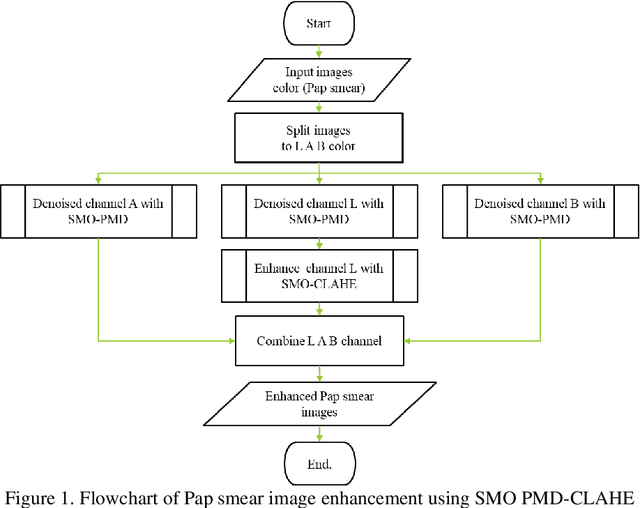 Figure 1 for Optimized Pap Smear Image Enhancement: Hybrid PMD Filter-CLAHE Using Spider Monkey Optimization