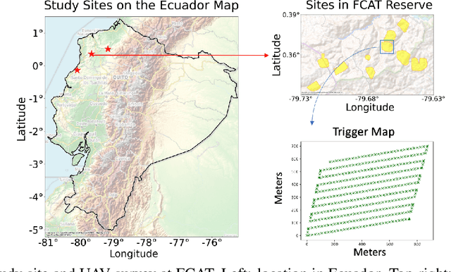 Figure 1 for From Orthomosaics to Raw UAV Imagery: Enhancing Palm Detection and Crown-Center Localization