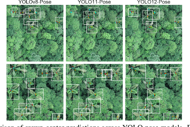 Figure 4 for From Orthomosaics to Raw UAV Imagery: Enhancing Palm Detection and Crown-Center Localization
