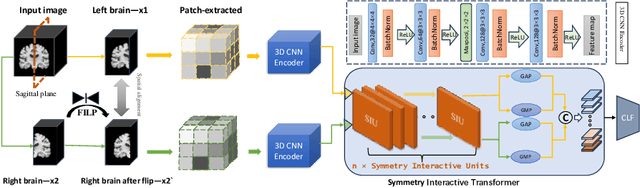 Figure 1 for Symmetry Interactive Transformer with CNN Framework for Diagnosis of Alzheimer's Disease Using Structural MRI