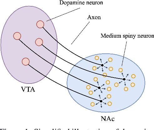 Figure 1 for Temporal-Difference Learning Using Distributed Error Signals