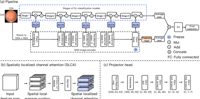 Figure 1 for Adapting a Segmentation Foundation Model for Medical Image Classification