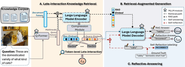 Figure 3 for UniRVQA: A Unified Framework for Retrieval-Augmented Vision Question Answering via Self-Reflective Joint Training