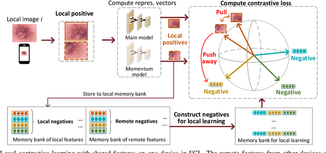 Figure 3 for Federated Contrastive Learning for Dermatological Disease Diagnosis via On-device Learning
