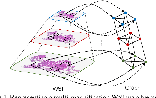 Figure 1 for GRASP: GRAph-Structured Pyramidal Whole Slide Image Representation