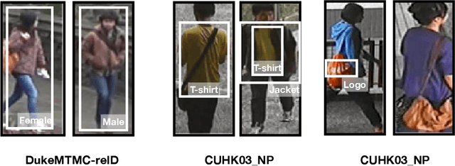 Figure 1 for Using Auxiliary Information for Person Re-Identification -- A Tutorial Overview