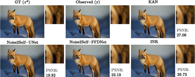 Figure 3 for You KAN Do It in a Single Shot: Plug-and-Play Methods with Single-Instance Priors
