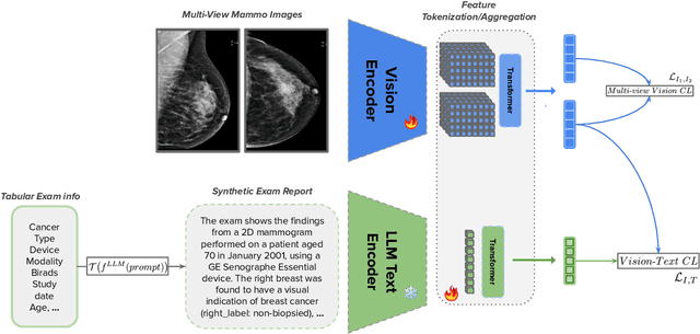 Figure 1 for MV-MLM: Bridging Multi-View Mammography and Language for Breast Cancer Diagnosis and Risk Prediction