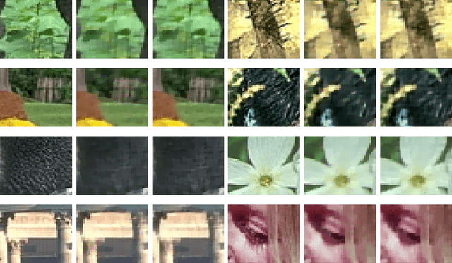 Figure 2 for A New Cross-Space Total Variation Regularization Model for Color Image Restoration with Quaternion Blur Operator