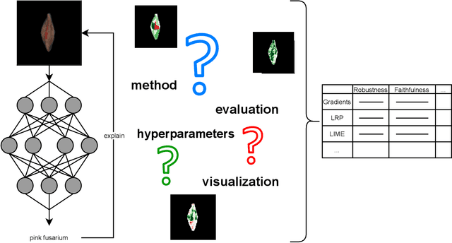 Figure 1 for Challenges in explaining deep learning models for data with biological variation