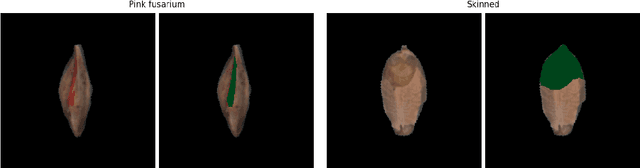 Figure 3 for Challenges in explaining deep learning models for data with biological variation