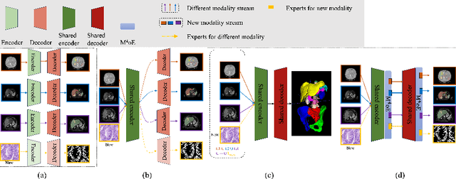 Figure 1 for M$^4$oE: A Foundation Model for Medical Multimodal Image Segmentation with Mixture of Experts