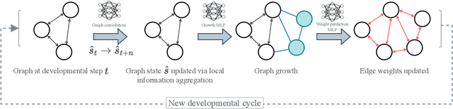 Figure 1 for Towards Self-Assembling Artificial Neural Networks through Neural Developmental Programs