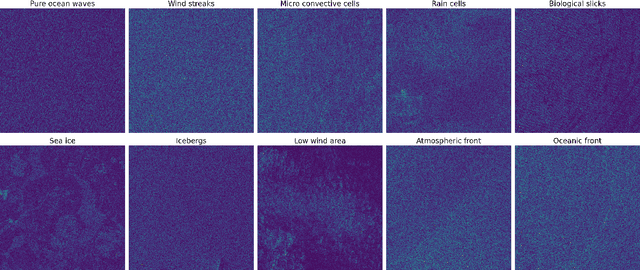 Figure 1 for Efficient Self-Supervised Learning for Earth Observation via Dynamic Dataset Curation