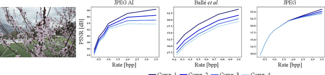 Figure 4 for Three Forensic Cues for JPEG AI Images