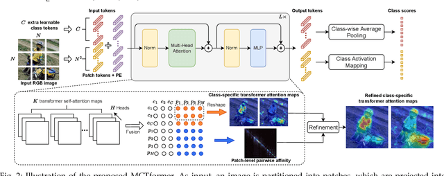 Figure 3 for MCTformer+: Multi-Class Token Transformer for Weakly Supervised Semantic Segmentation