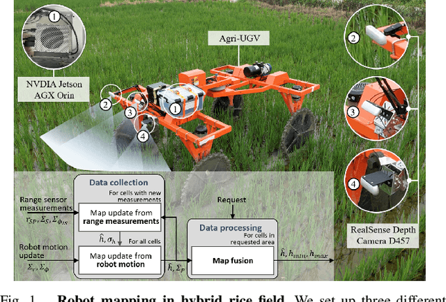 Figure 1 for Motion-Coupled Mapping Algorithm for Hybrid Rice Canopy