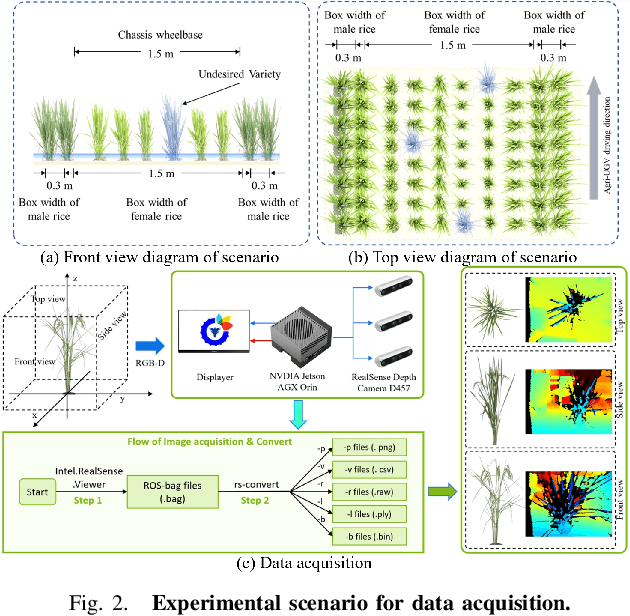 Figure 2 for Motion-Coupled Mapping Algorithm for Hybrid Rice Canopy