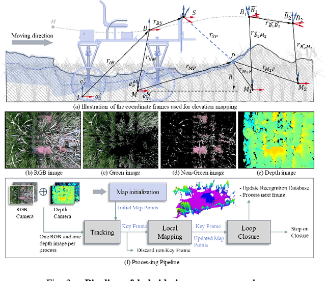 Figure 3 for Motion-Coupled Mapping Algorithm for Hybrid Rice Canopy