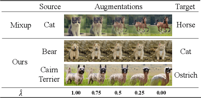 Figure 1 for Beyond One-Hot Labels: Semantic Mixing for Model Calibration