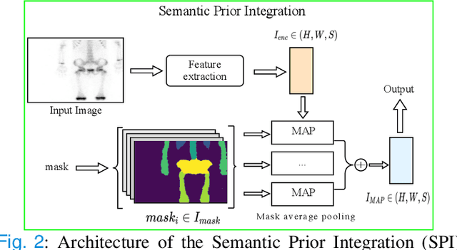 Figure 2 for Semantic Prior Distillation with Vision Foundation Model for Enhanced Rapid Bone Scintigraphy Image Restoration