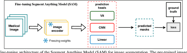 Figure 3 for Semantic Prior Distillation with Vision Foundation Model for Enhanced Rapid Bone Scintigraphy Image Restoration